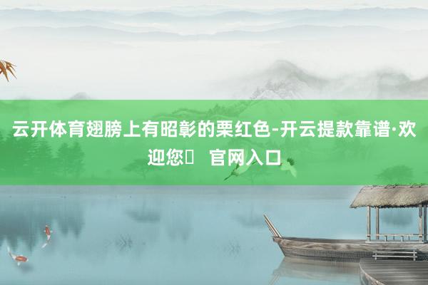 云开体育翅膀上有昭彰的栗红色-开云提款靠谱·欢迎您✅ 官网入口