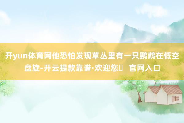 开yun体育网他恐怕发现草丛里有一只鹦鹉在低空盘旋-开云提款靠谱·欢迎您✅ 官网入口